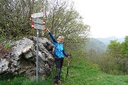 Monte Zucco (Direttissima / Sentiero Panoramico) da San Pellegrino Terme il 22 aprile 2016  - FOTOGALLERY